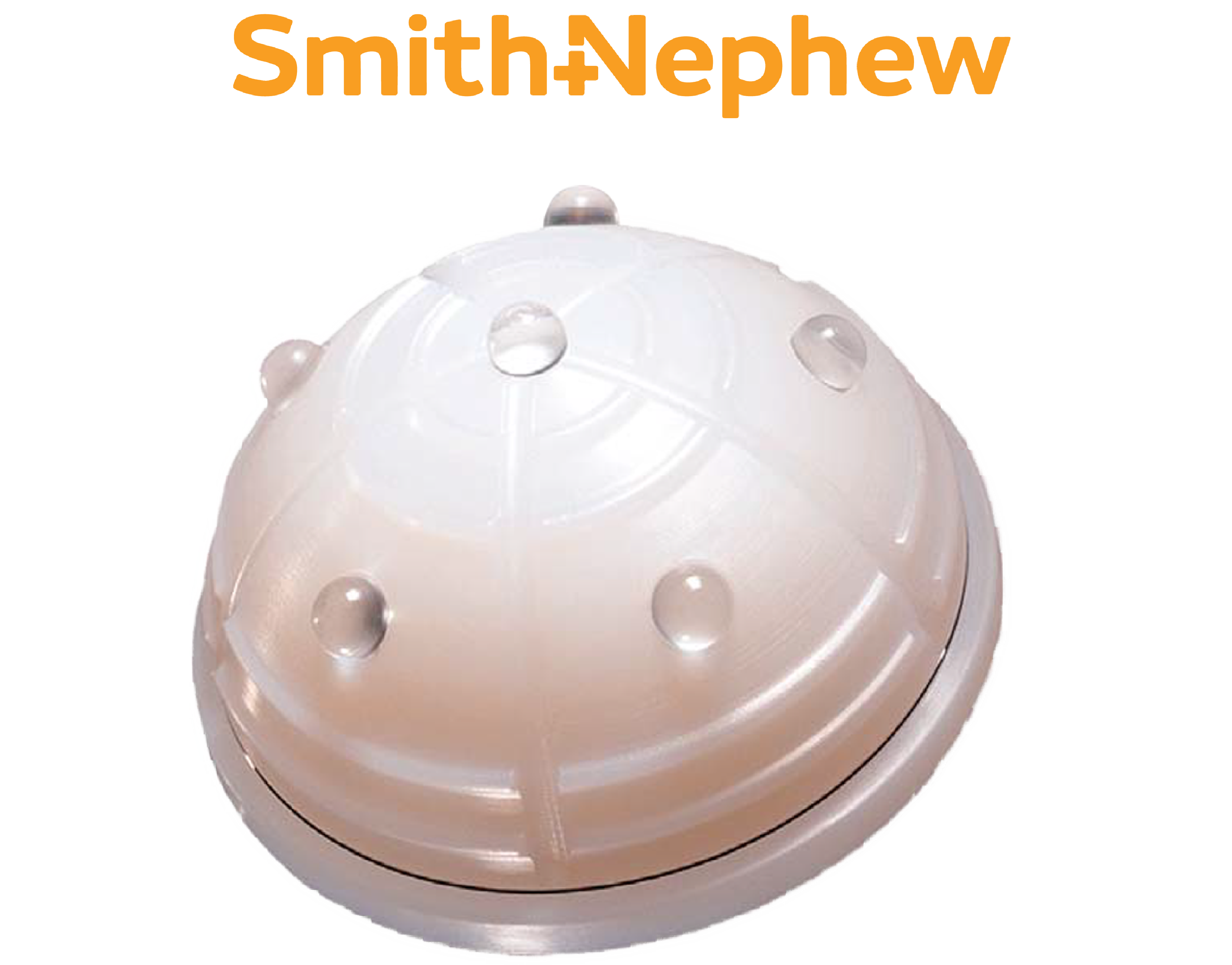 Reflection All-Poly XLPE Cup