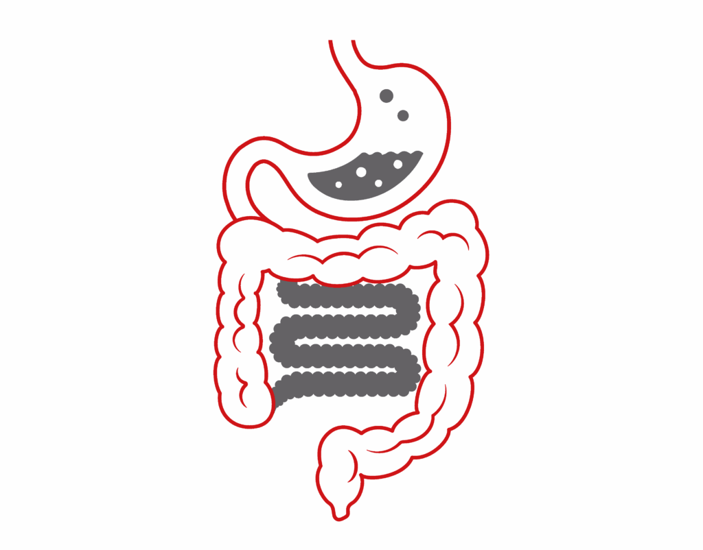 Upper GI and Lower GI